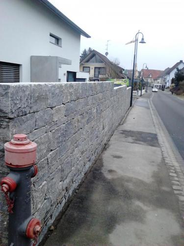 Referenzbild 11